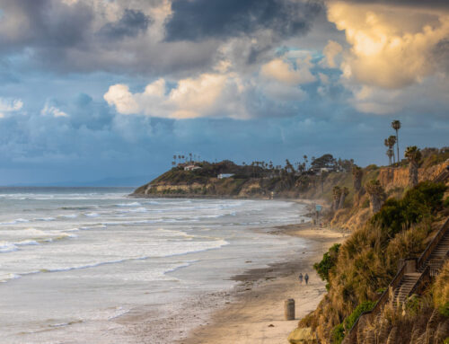 Insurance Solutions in Cardiff-by-the-Sea