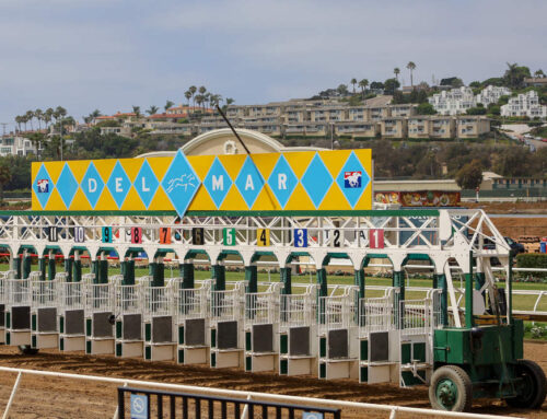 Insurance Solutions in Del Mar
