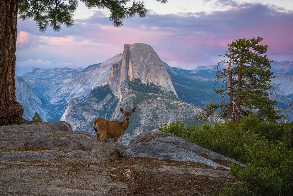 Reliable Insurance Solutions in Alpine