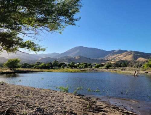 Commercial Insurance in Lake Isabella, CA
