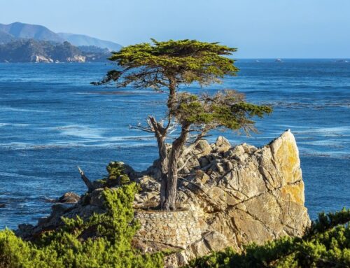 Commercial Insurance in Monterey, CA