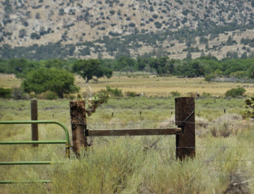 Commercial Insurance in Ridgecrest, CA