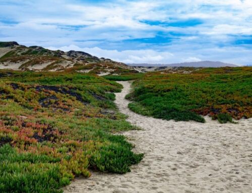Commercial Insurance in Sand City, CA