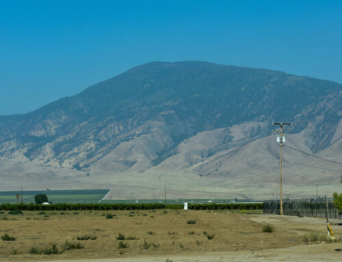 Insurance Solutions in Arvin, CA