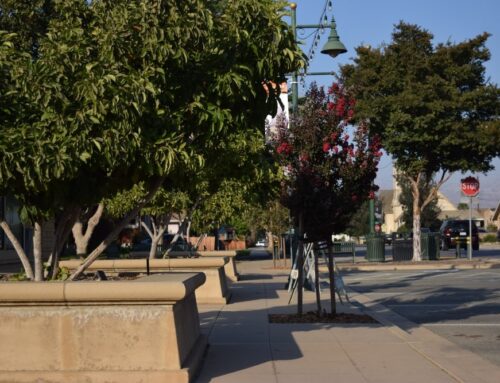 Insurance Solutions in Gonzales, CA