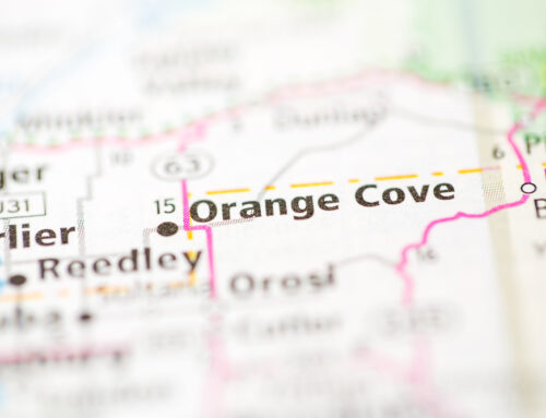 Insurance Solutions in Orange Cove, CA