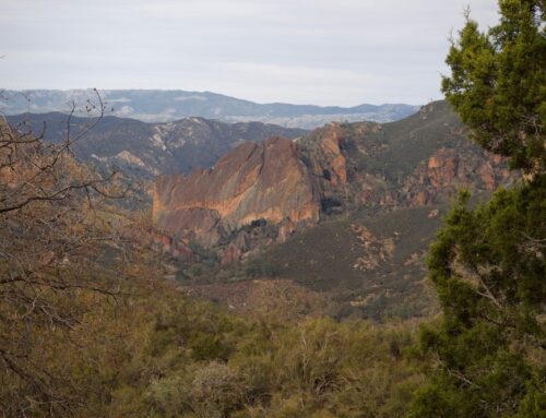 Insurance Solutions in Soledad, CA