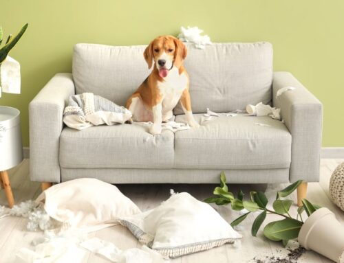 5 Things You Didn’t Know Renters Insurance Covers