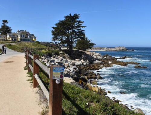 Reliable Insurance Solutions in Pacific Grove, CA