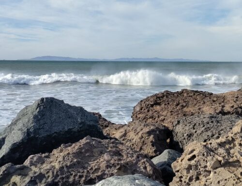 Insurance Solutions in Channel Islands Beach, CA
