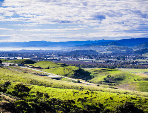 Insurance Solutions in Morgan Hill, CA