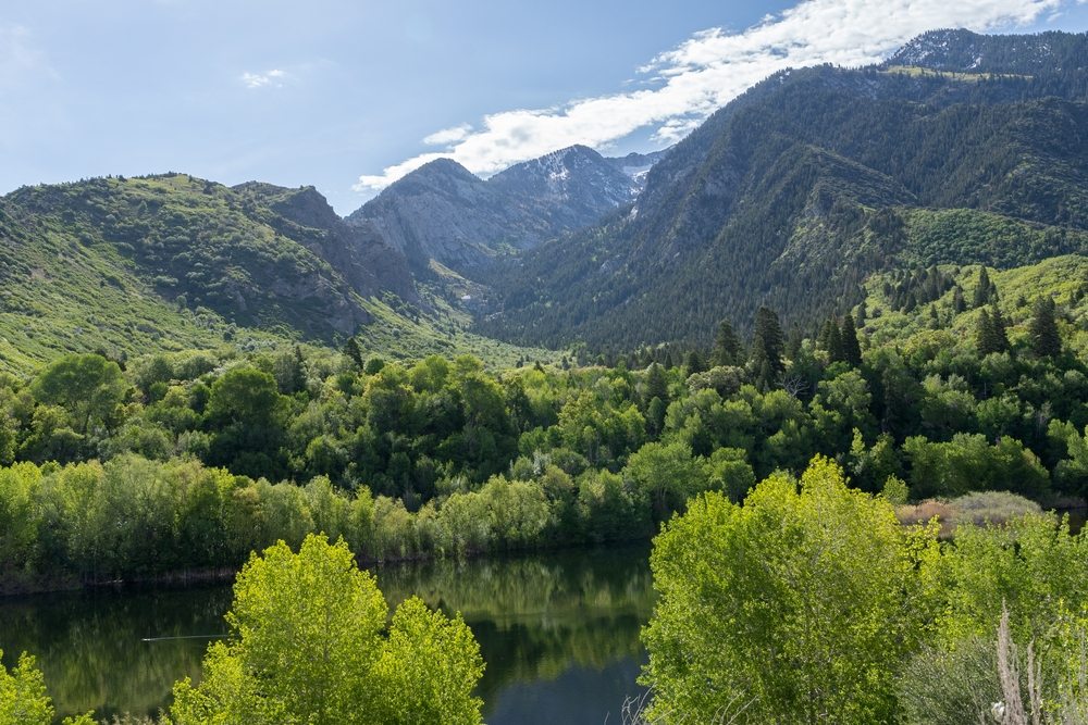 Reliable Insurance Solutions in Bell Canyon, CA