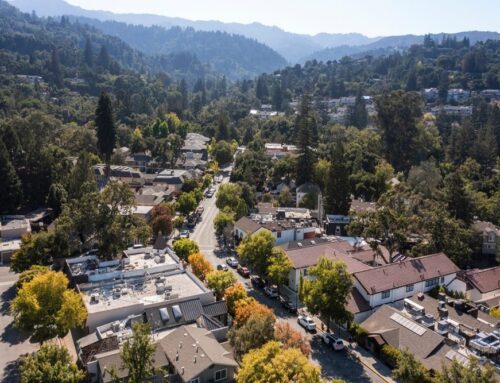 Reliable Insurance Solutions in Saratoga, CA