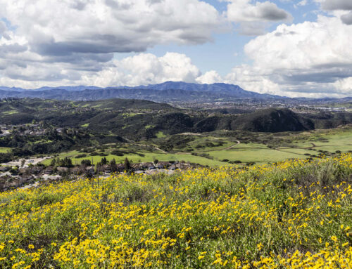 Commercial Insurance in Thousand Oaks, CA