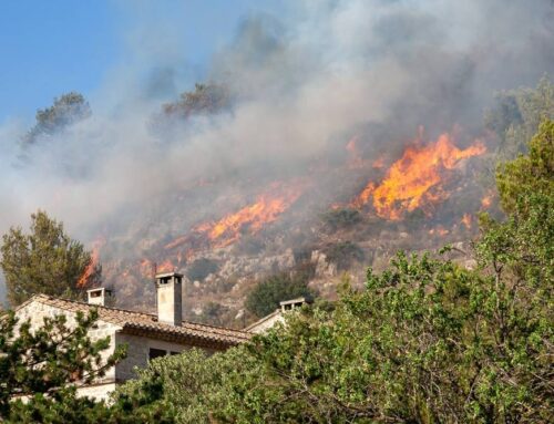 How High-Risk Fire Insurance Differs From Standard Home Insurance