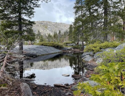 Commercial Insurance in El Dorado, CA