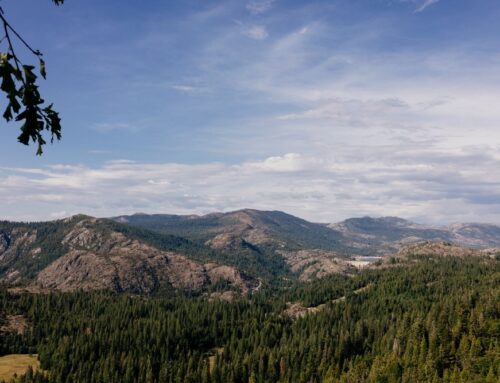 Commercial Insurance in Emigrant Gap, CA