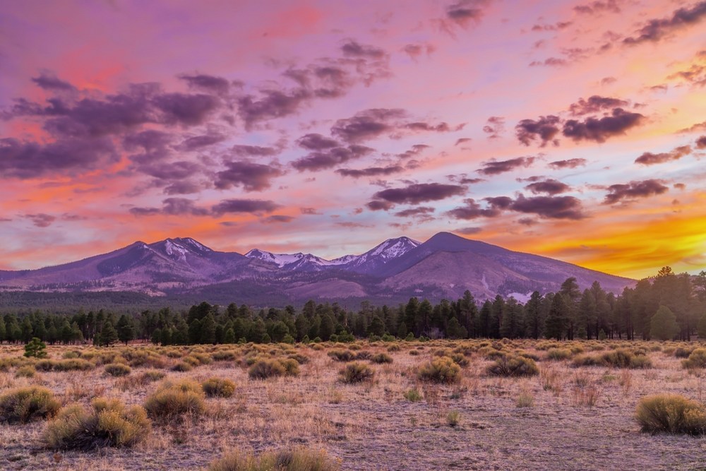 Insurance Solutions in Alpine Meadows, CA