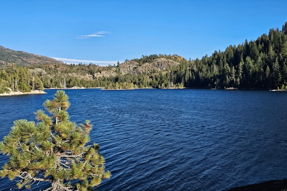 Insurance Solutions in Bowman, CA