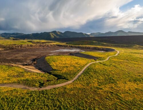 Insurance Solutions in Diamond Springs, CA