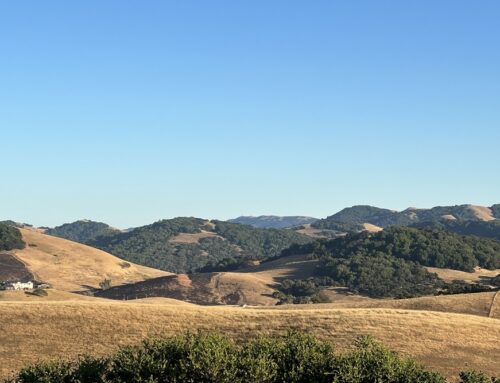 Insurance Solutions in Georgetown, CA