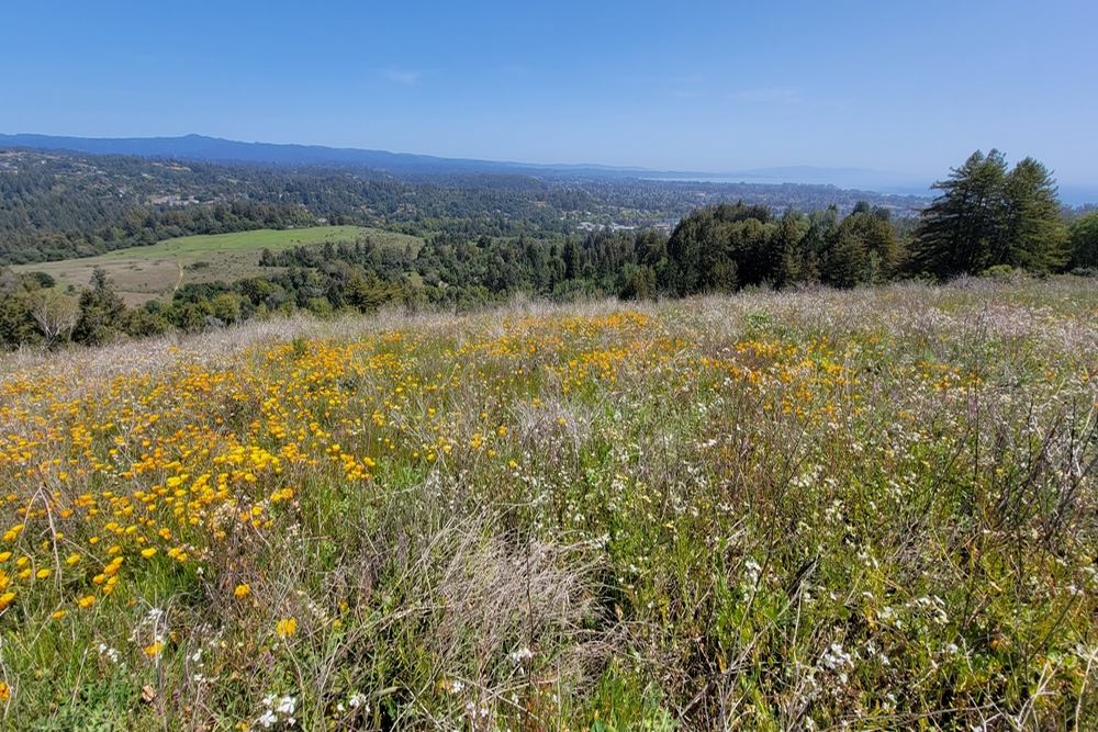 Insurance Solutions in Meadow Vista, CA