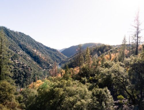 Reliable Insurance Solutions in Colfax, CA