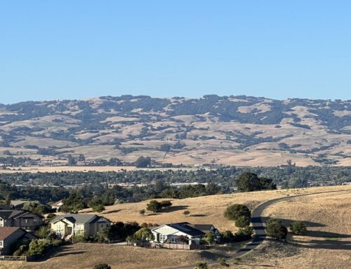 Reliable Insurance Solutions in Cool, CA