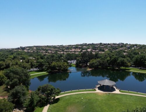 Reliable Insurance Solutions in El Dorado Hills, CA