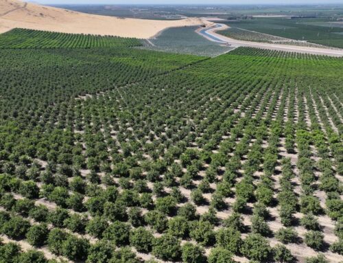 Commercial Insurance in Acampo, CA