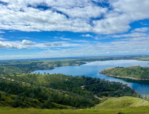 Insurance Solutions in Garden Acres, CA