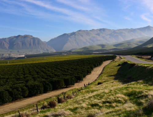 Reliable Insurance Solutions in Linden, CA