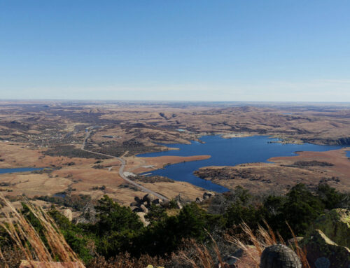 Commercial Insurance in Camanche Village, CA