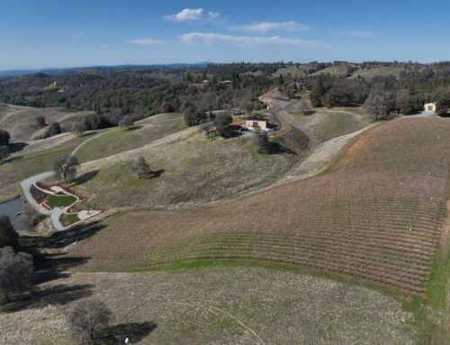 Commercial Insurance in Fiddletown, CA