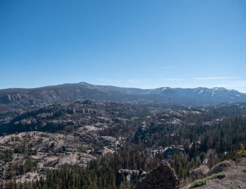 Commercial Insurance in Kirkwood, CA