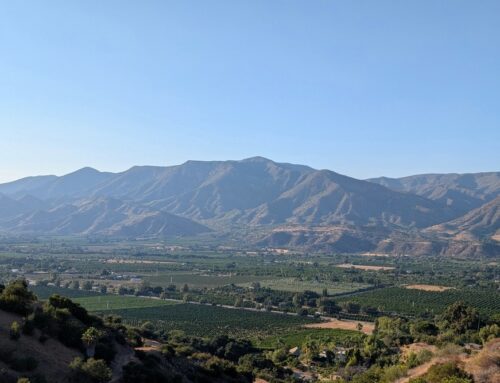 Commercial Insurance in New Chicago, CA