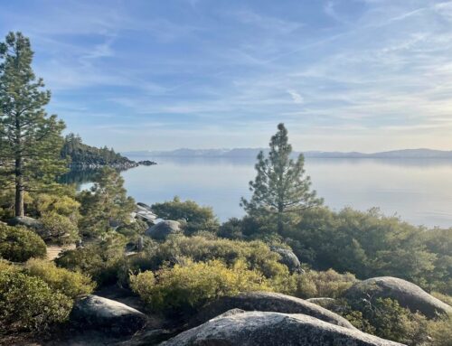 Commercial Insurance in Pioneer, CA