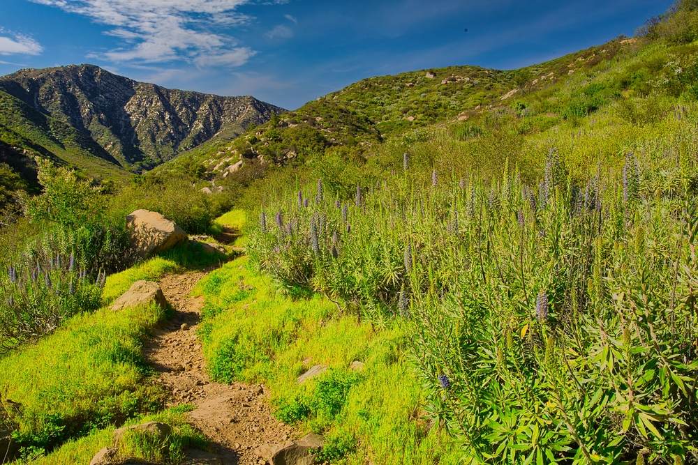 Reliable Insurance Solutions in Buena Vista, CA