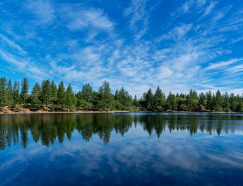 Reliable Insurance Solutions in Pine Acres, CA