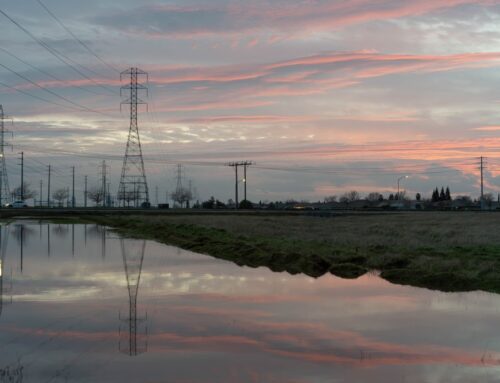 Commercial Insurance in Rancho Cordova, CA