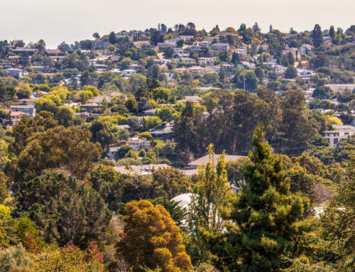 Insurance Solutions in Belmont, CA