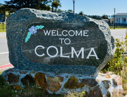 Insurance Solutions in Colma, CA