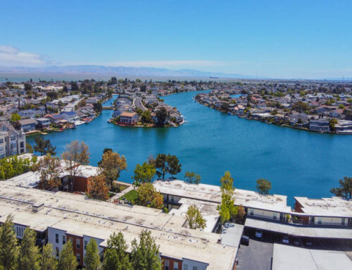 Insurance Solutions in Foster City, CA